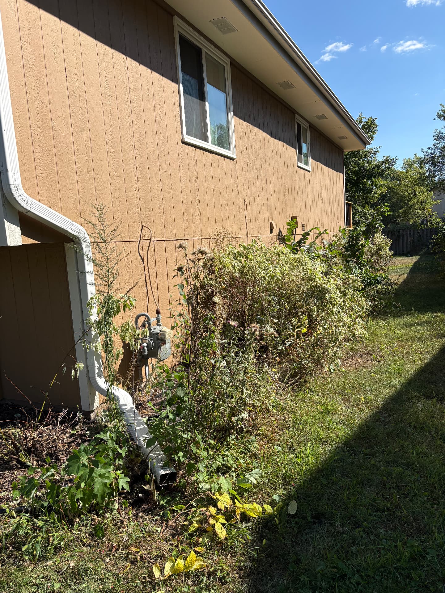 Landscaping • Rock Installation — Overgrown yard with weeds before landscaping work